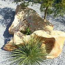Aménagement paysager : pierre du portugal agrémenté d'une sauge, d'un érable du japon et d'une agave